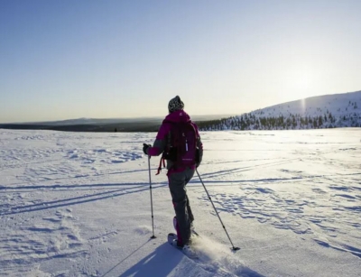 Lappland - Silvester im Winterwunderland