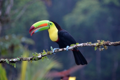 Costa Rica Soft Adventure Reise