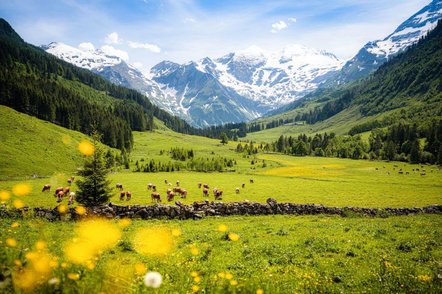 Österreich | Berge | Landschaft | Natur | Aktiv